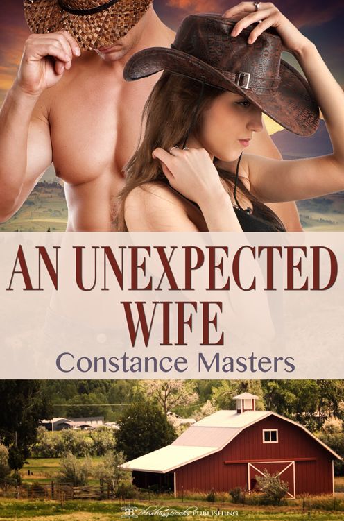 An Unexpected Wife