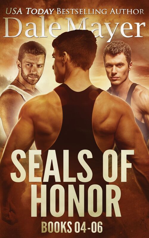 SEALs of Honor: Books 4-6: Swede, Shadow, Cooper