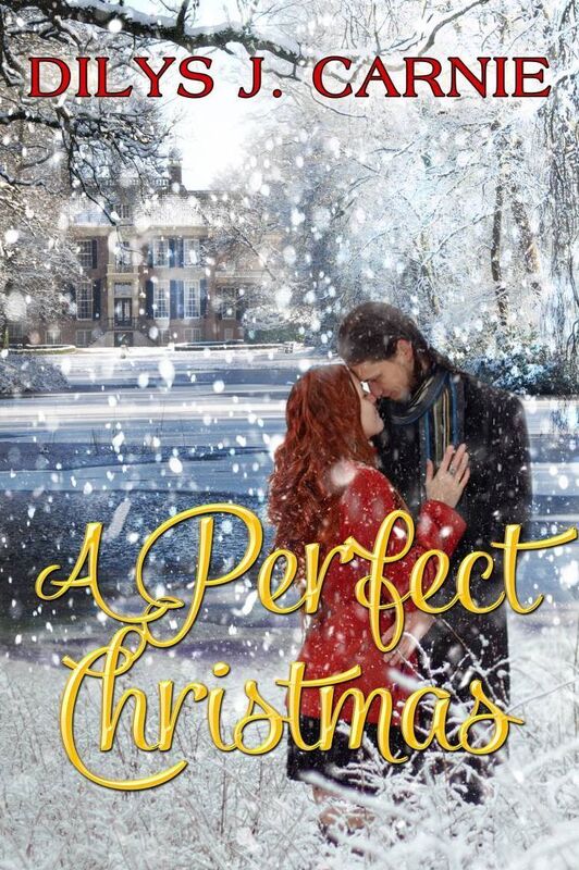 A Perfect Christmas