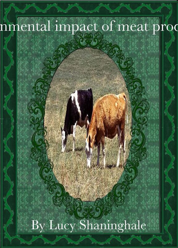 Environmental impact of meat production