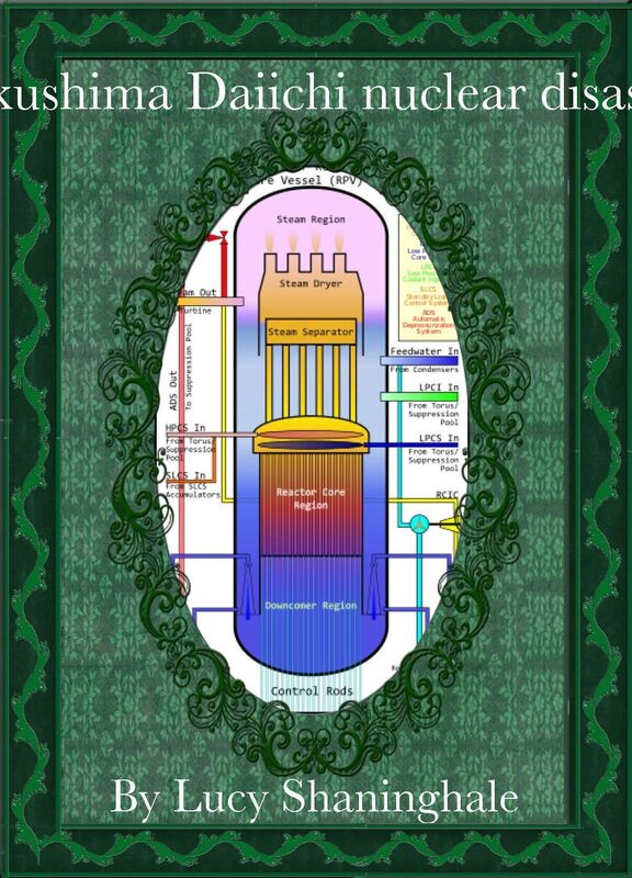 Fukushima Daiichi nuclear disaster