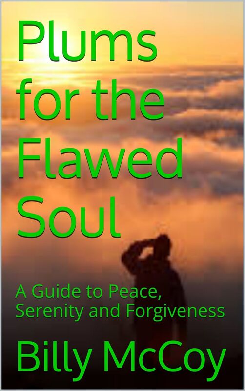 Plums for the Flawed Soul
