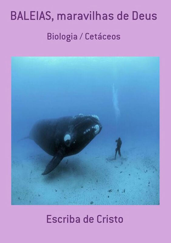 Baleias, Maravilhas De Deus