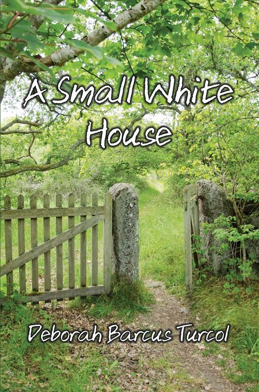 A Small White House