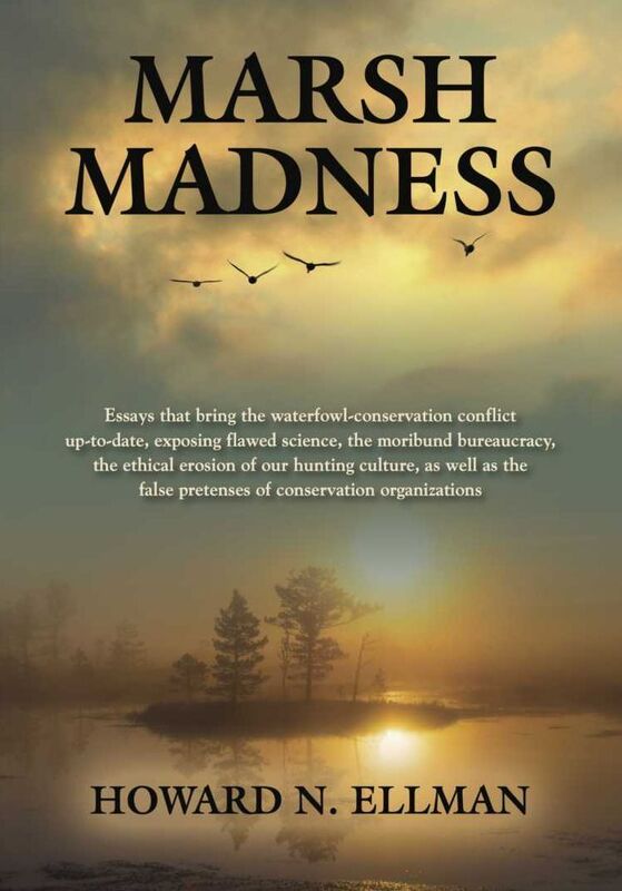 MARSH MADNESS