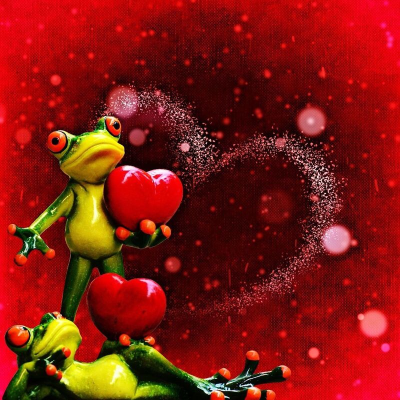 Too Many Frogs