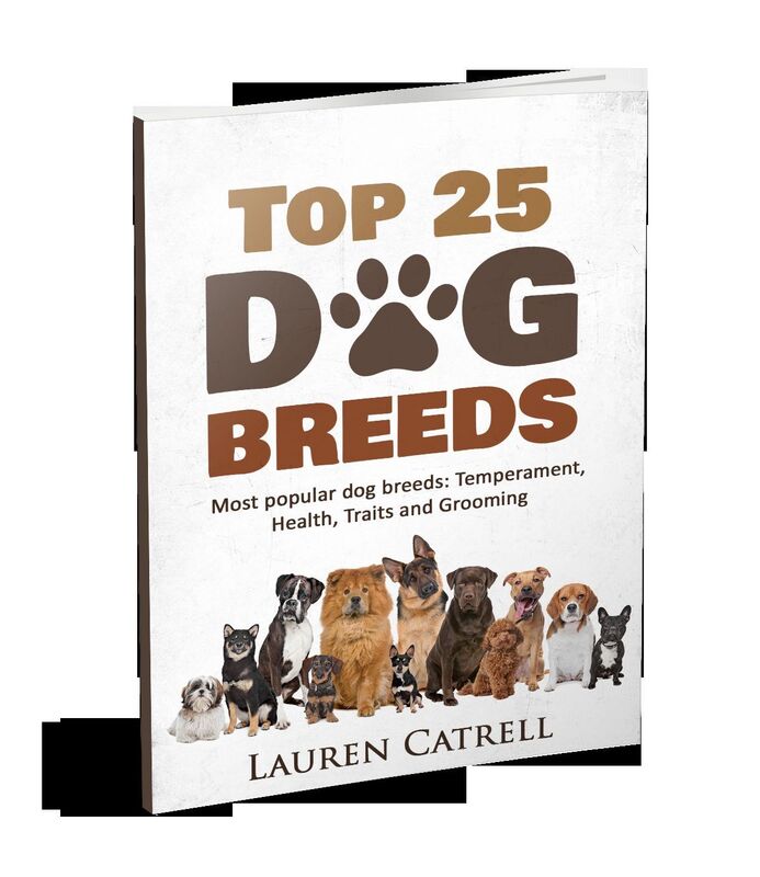 Top 25 Dog Breeds - Most popular dog breeds: Temperament, Health, Traits, and Grooming