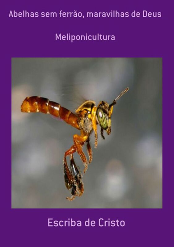 Abelhas Sem Ferrao, Maravilhas De Deus