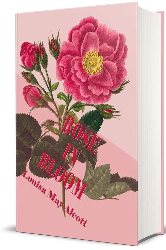 Rose in Bloom: A Sequel to "Eight Cousins" (Illustrated Edition)