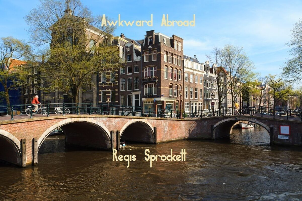 Awkward Abroad By Regis Sprockett