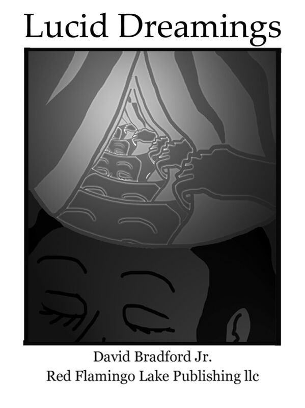 Lucid Dreamings