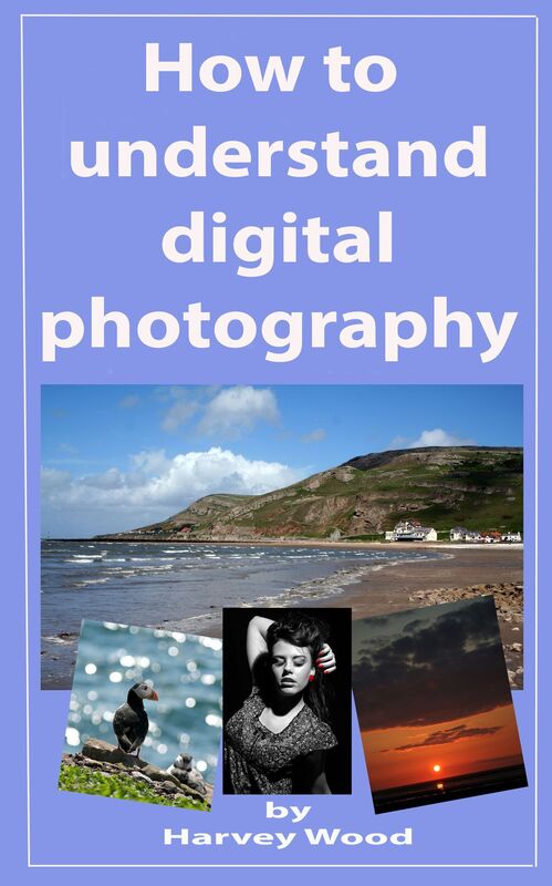 How to Understand Digital Photography