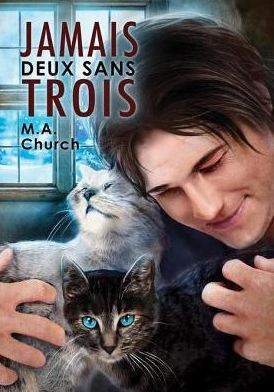 Jamais deux sans trois