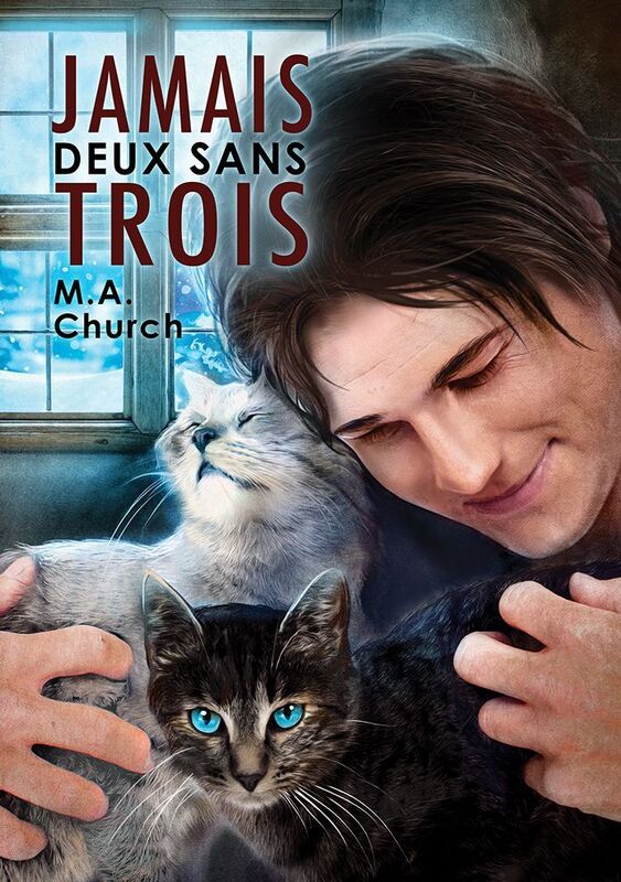 Jamais deux sans trois