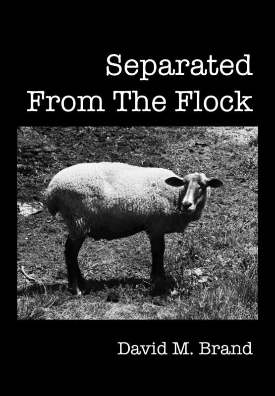 Separated From The Flock