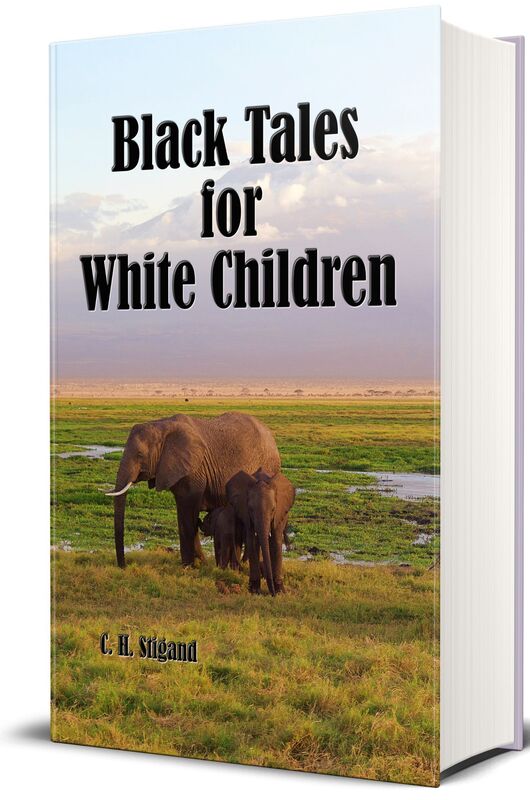Black Tales for White Children (Illustrated Edition)