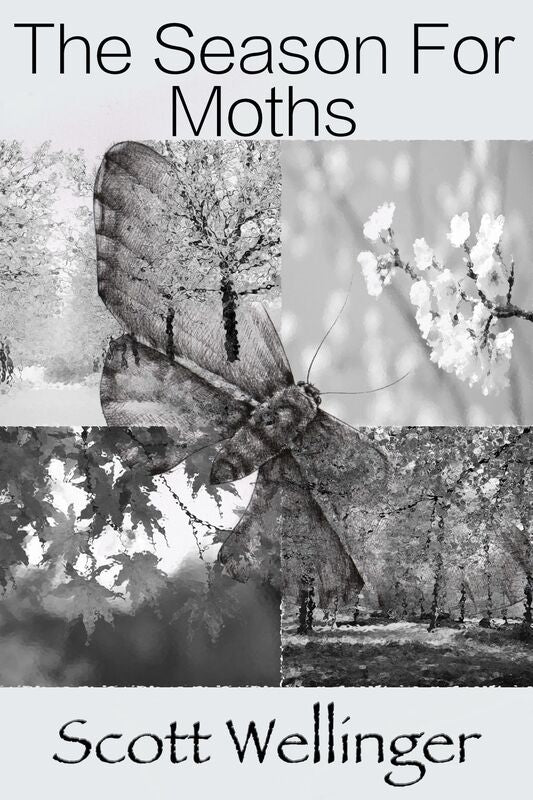 The Season For Moths