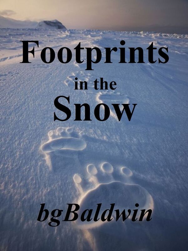FOOTPRINTS IN THE SNOW