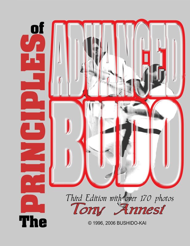The Principles of Advanced Budo