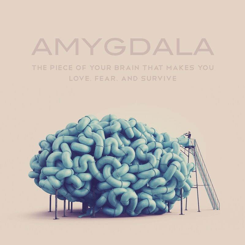 Amygdala Magazine: Issue 1