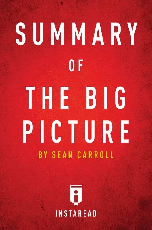 Summary of The Big Picture by Sean Carroll Includes Analysis
