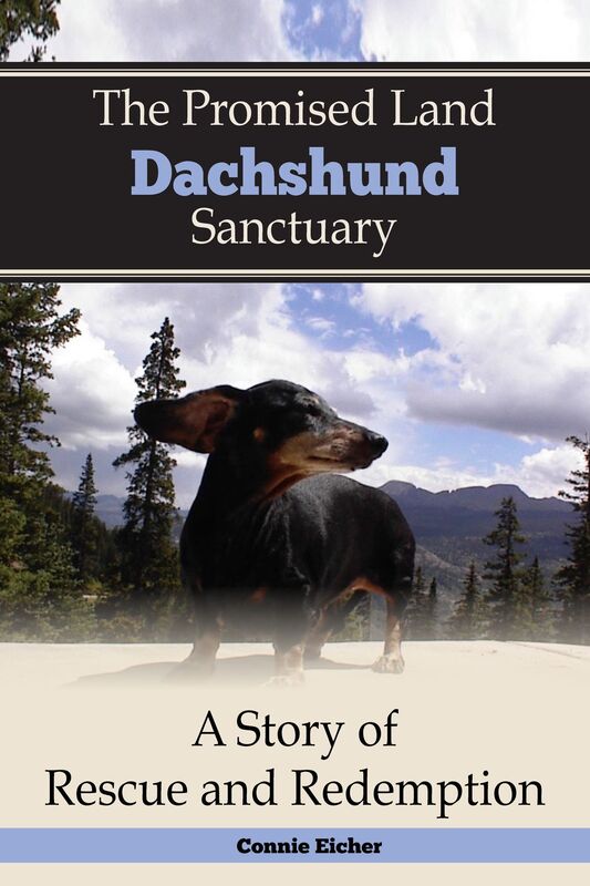 The Promised Land Dachshund Sanctaury