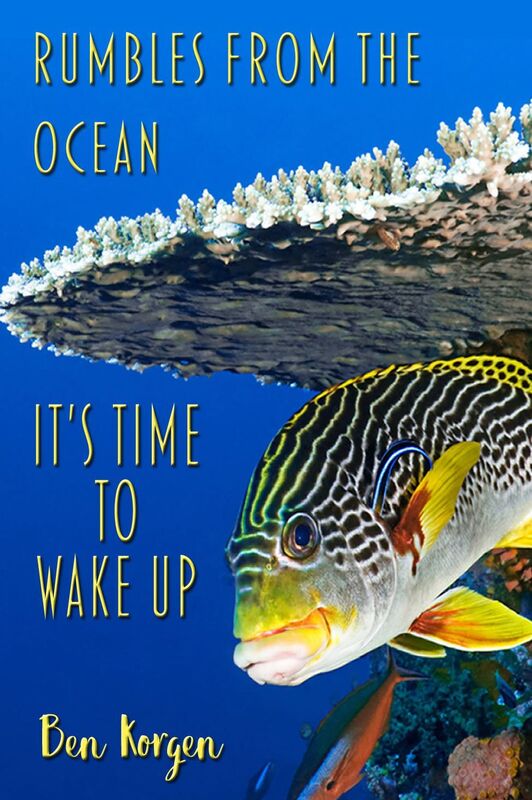 Rumbles from the Ocean: It's Time to Wake Up