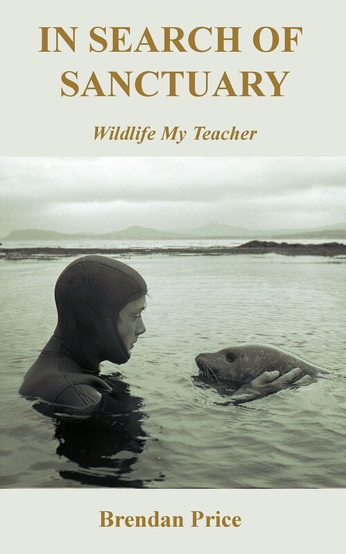 In Search of Sanctuary: Wildlife, My Teacher