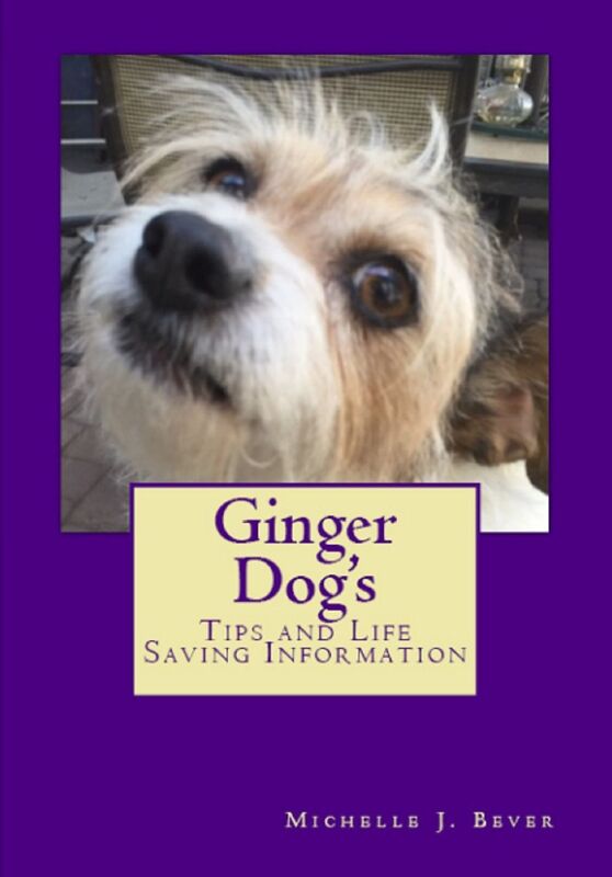 Ginger Dog's Tips and Life Saving Information