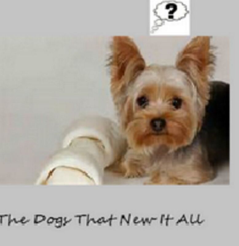 The Dog That Knew It All