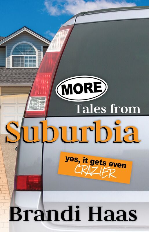 More Tales from Suburbia: Yes, It Gets Even Crazier