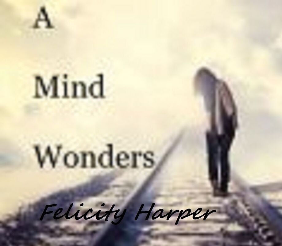 A Mind Wonders