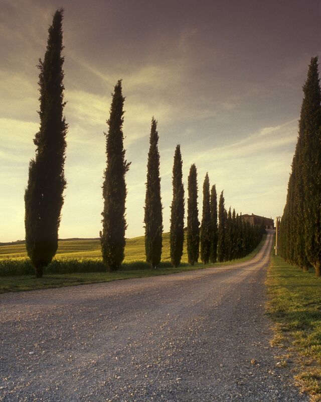 Aspects of life - Contextual Prelude to Poems