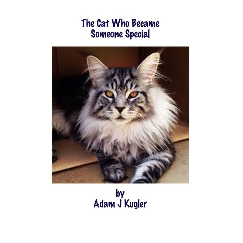 The Cat Who Became Someone Special