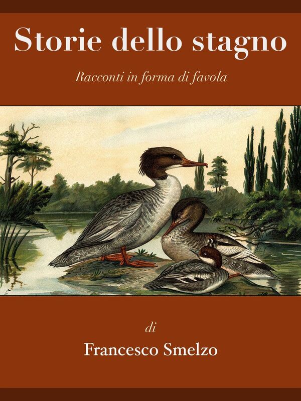 Storie Dello Stagno