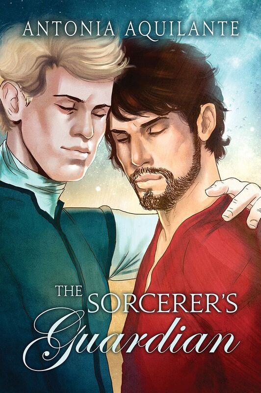 The Sorcerers Guardian