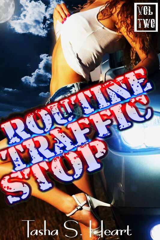 Routine Traffic Stop Volume Two