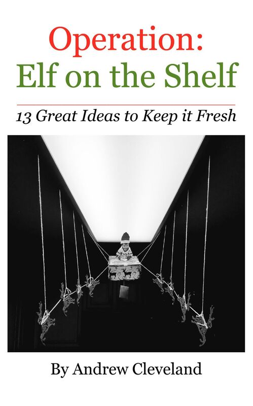 Operation: Elf on the Shelf 13 Great Ideas to Keep it Fresh