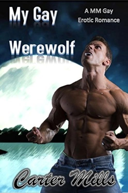 My Gay Werewolf
