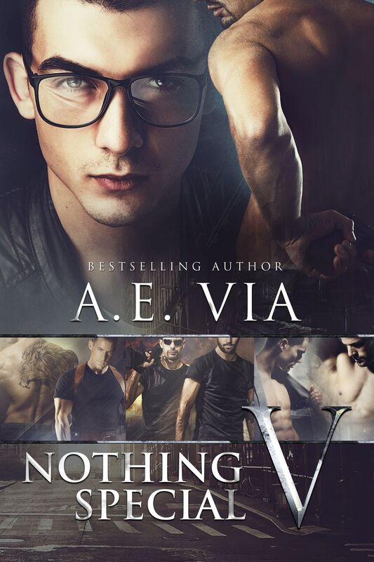 Nothing Special V (Nothing Special Series #5)