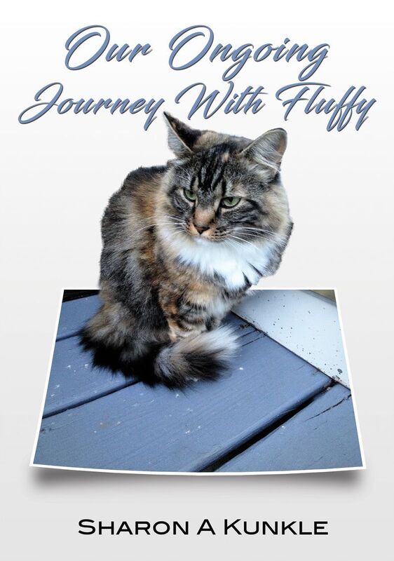 Our Ongoing Journey With Fluffy