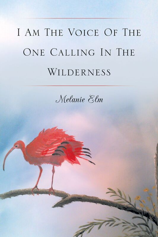 I Am The Voice Of The One Calling In The Wilderness