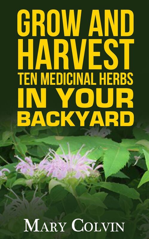 Grow and Harvest Ten Medicinal Herbs in Your Backyard