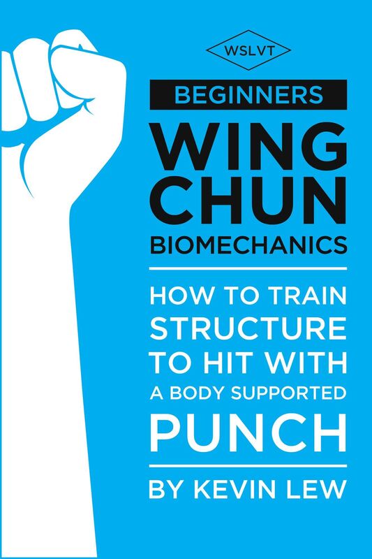 Beginners Wing Chun Biomechanics
