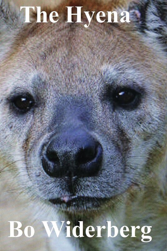 The Hyena