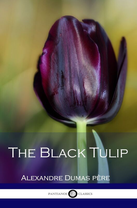 The Black Tulip