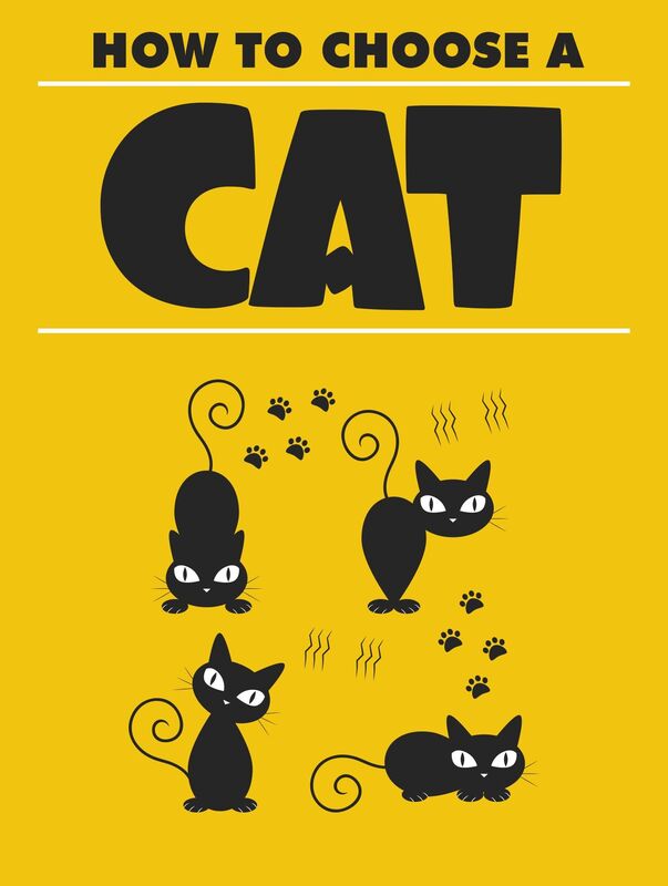 How to Choose a Cat