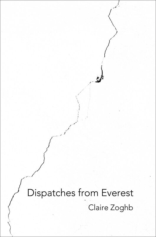 Dispatches from Everest