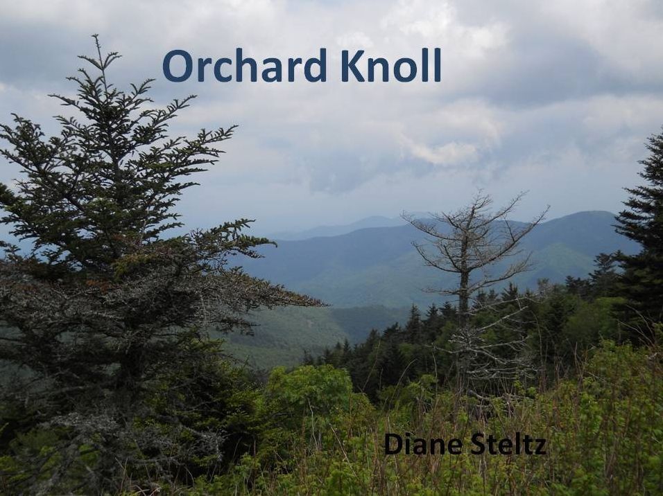 Orchard Knoll