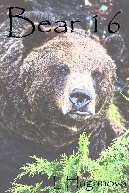 Bear 16